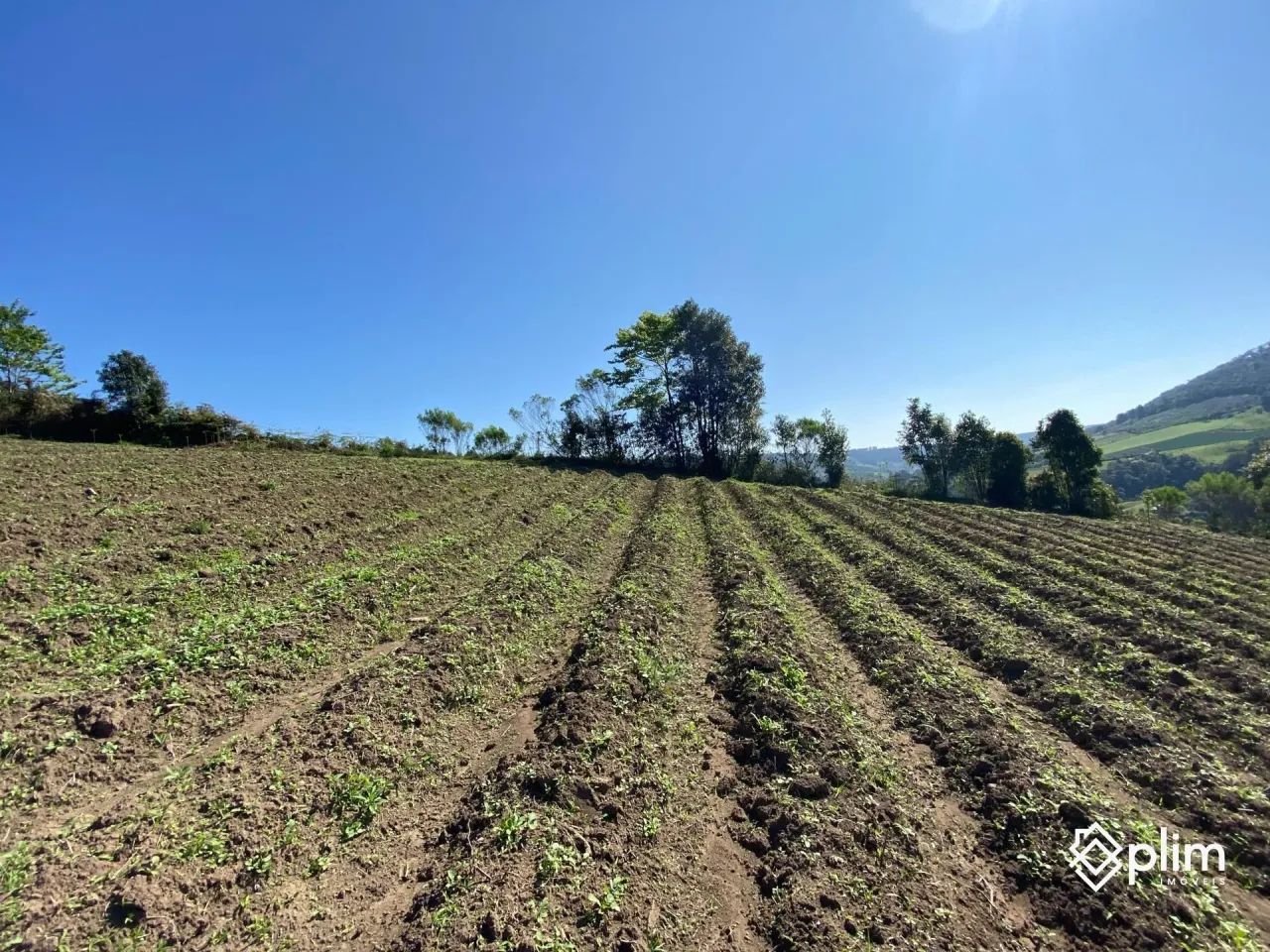 OPORTUNIDADE: Sítio com 40.000m² em Alfredo Wagner - Serra Catarinense - Foto 3