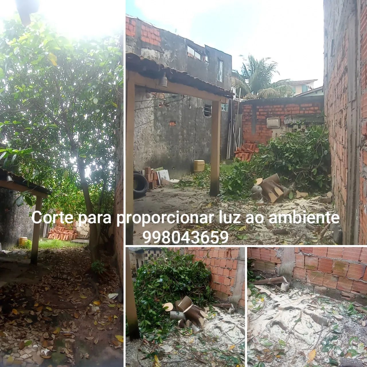 CORTE, PODA, RETIRADA DE ÁRVORES  - Foto 5