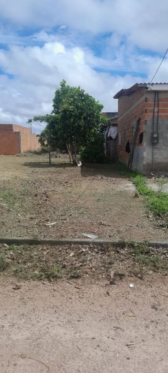 Lote TERRA NOVA BOSQUE  - Foto 2