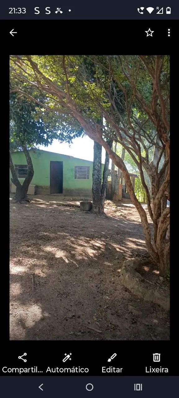 Foto - Cocalzinho de Goiás - Girassol
