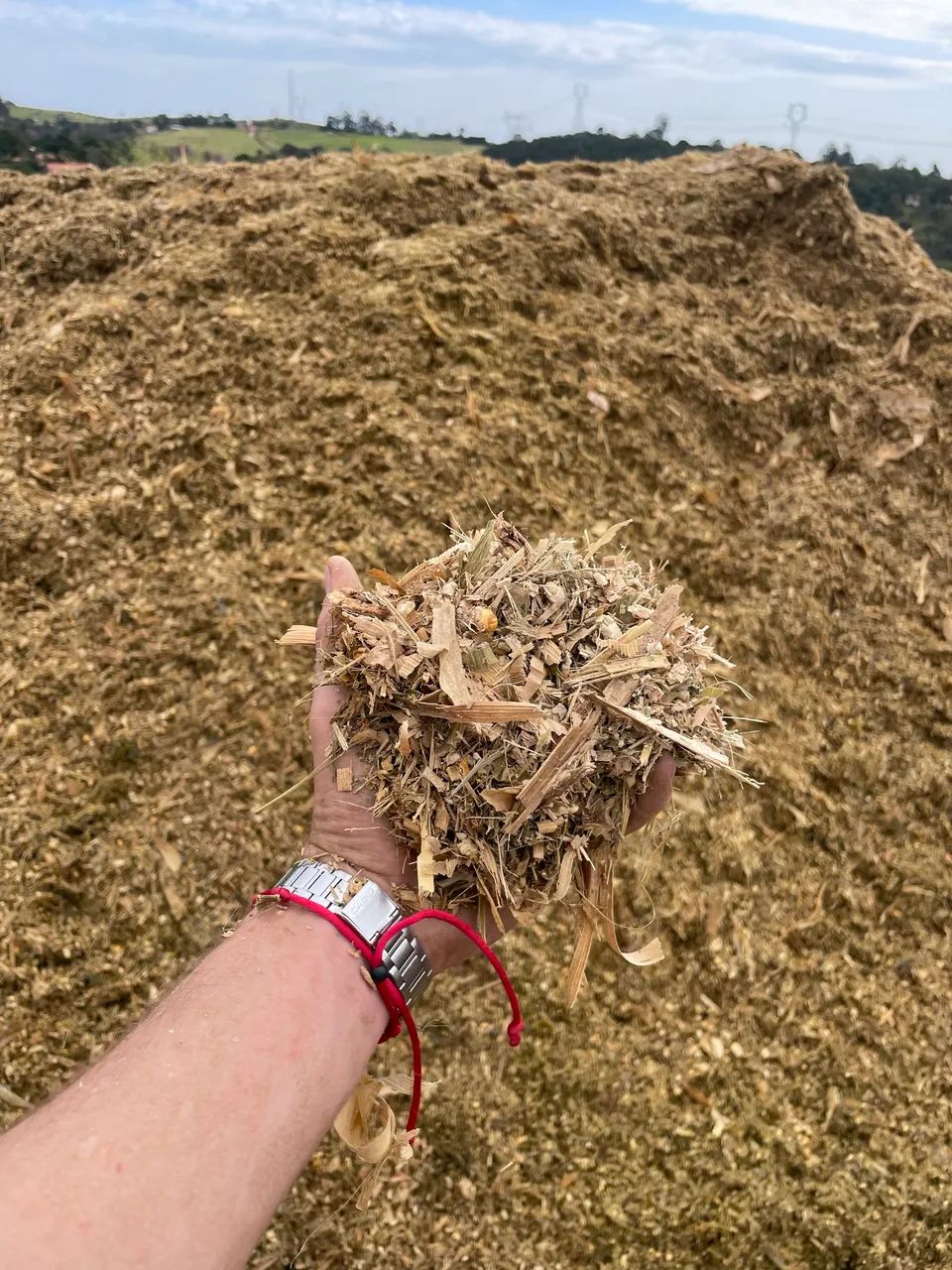 Silagem de Milho 25kg ensacada