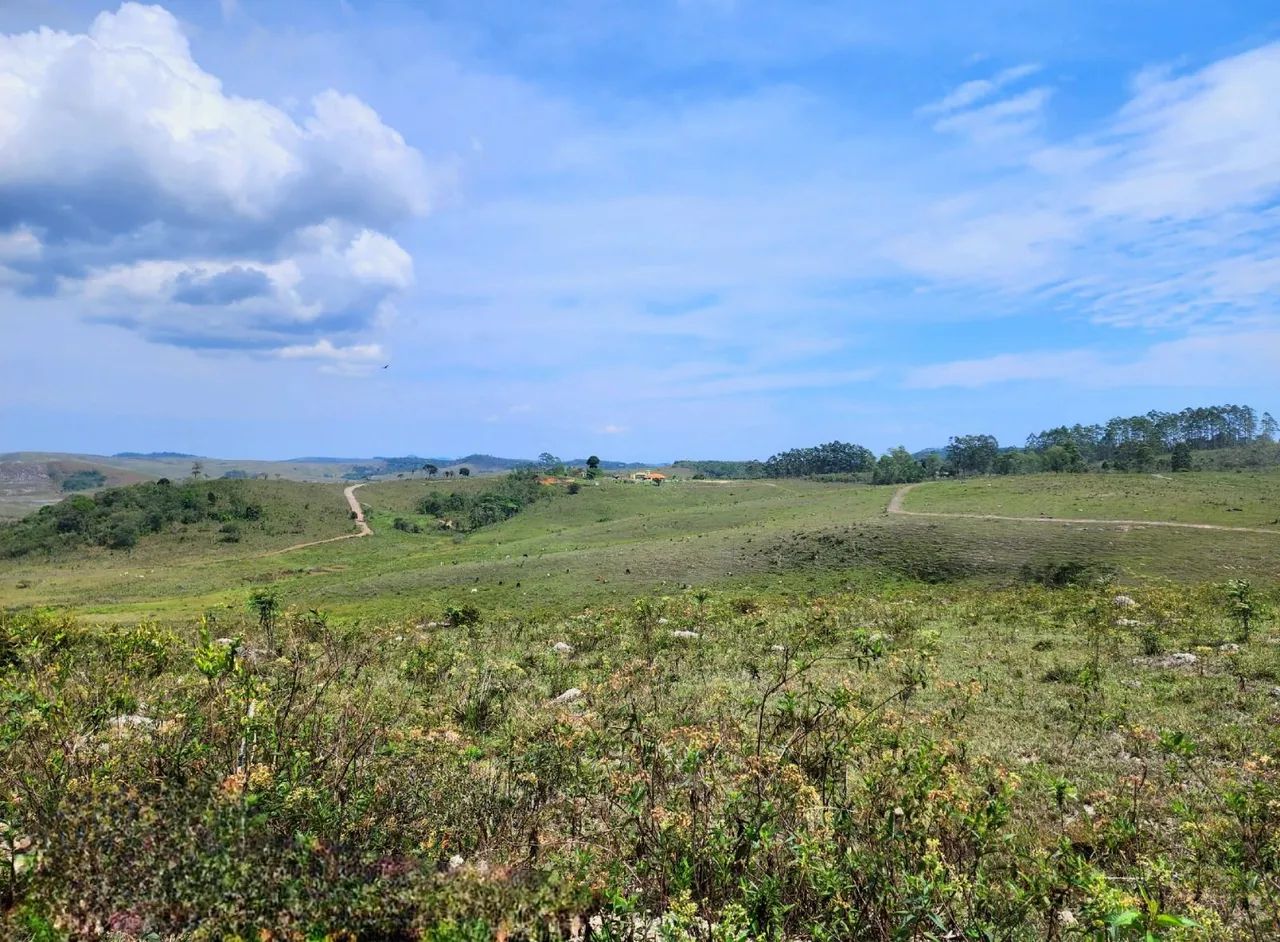 Vendo Chácara 5.000M2 - Foto 4