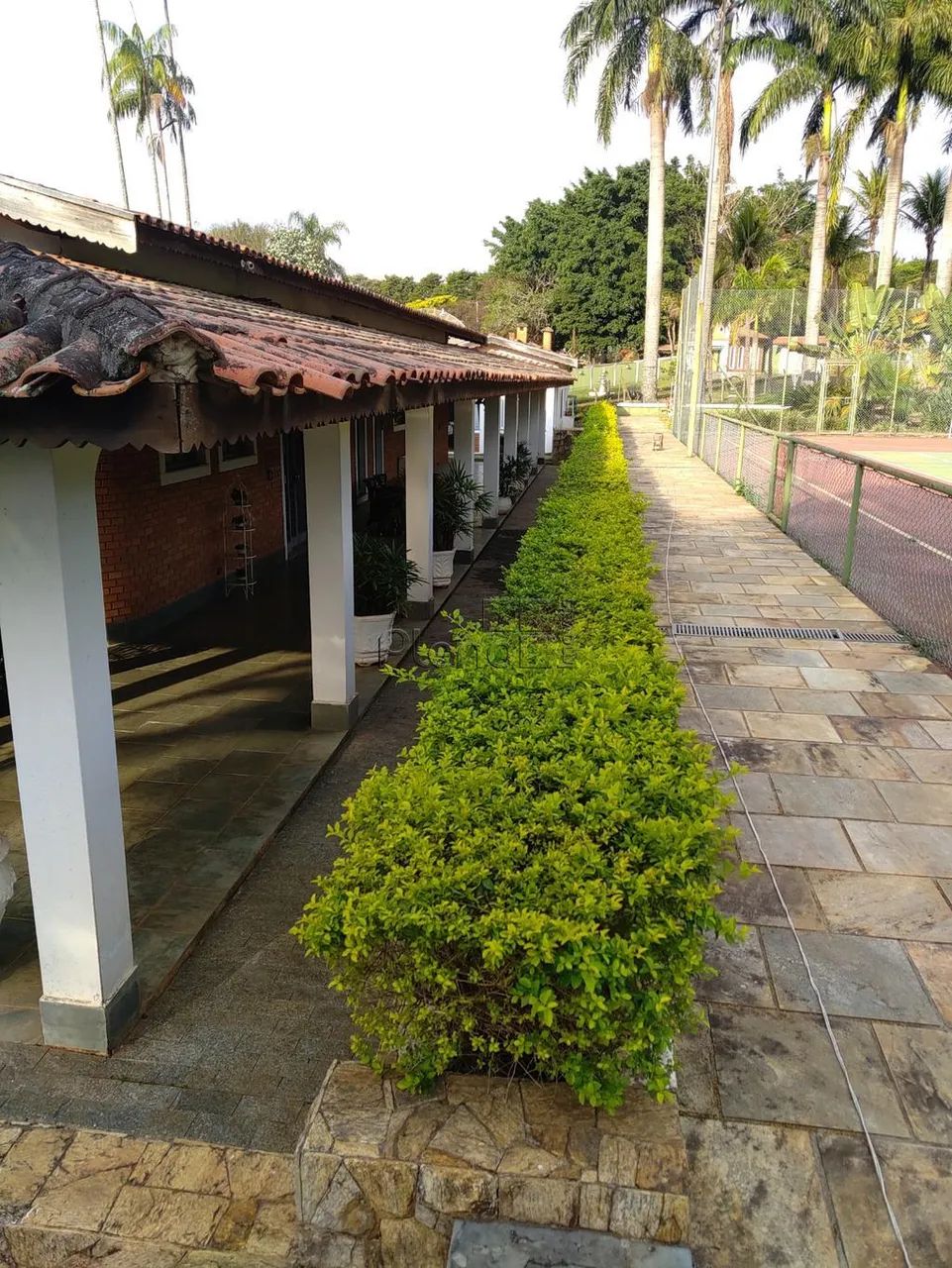 Chácara à venda e para alugar em Valinhos, Vale Verde, com 5 quartos, com 6420 m² - Foto 4