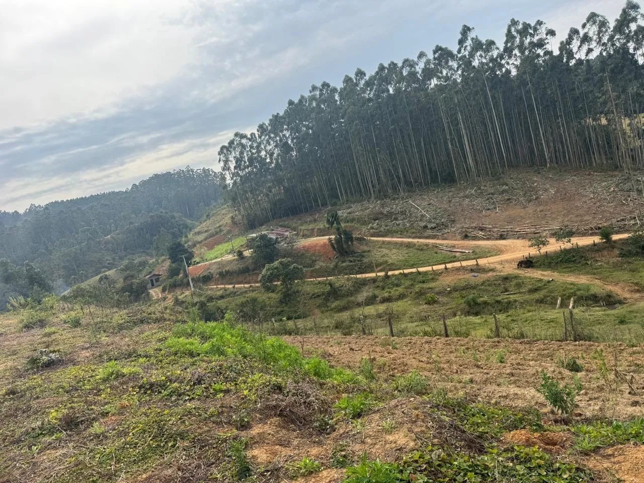 Terreno rural 5,6 hectares  - Foto 4
