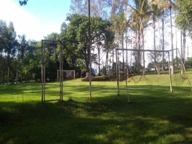 Sitio a venda sp Regiao Ribeirao Preto Sales de Oliveira montado 4.3 ha   - Foto 11