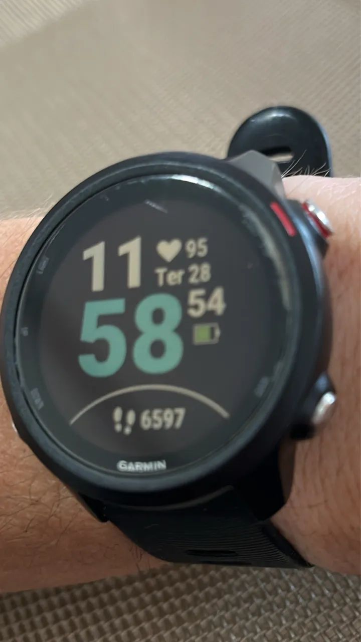 Garmin Forerunner 245 Music  - Foto 3