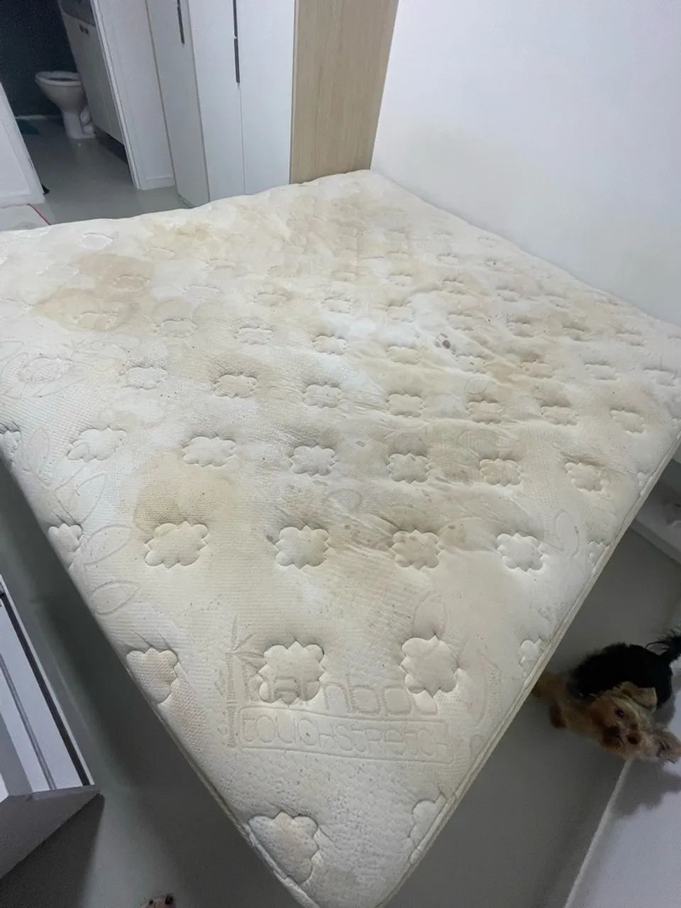 Cama Box King-size marca Simmons - Foto 5