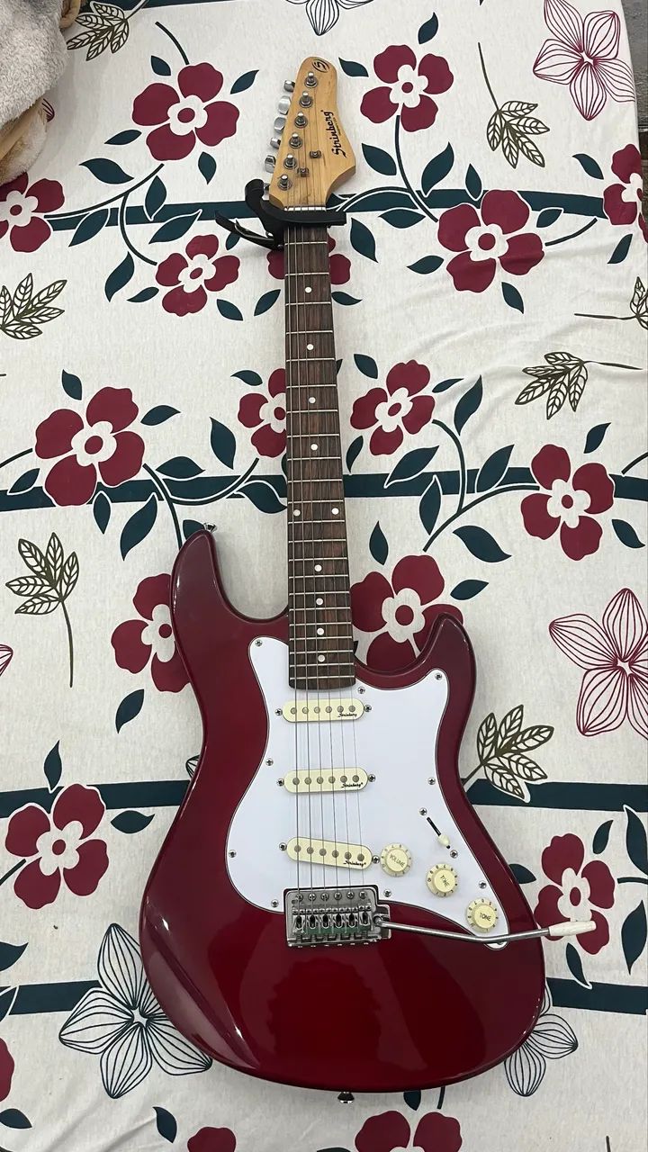 Guitarra Strinberg 