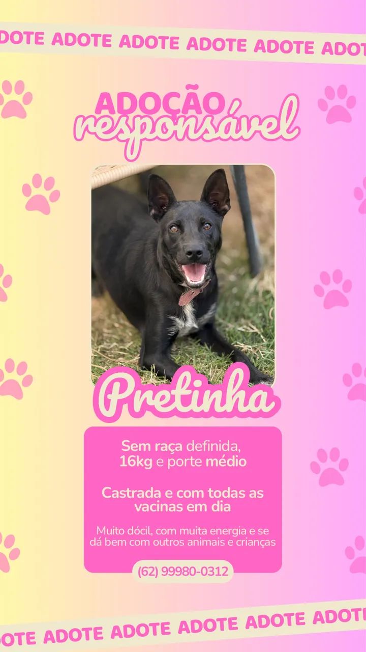 ADOÇÃO RESPONSÁVEL- Pretinha