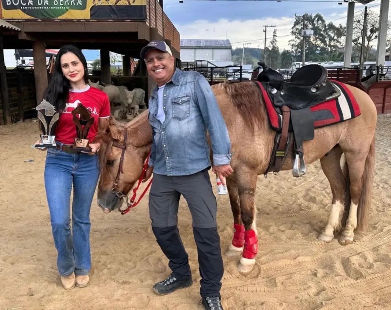 Cavalo Crioulo Jurado - Registrado, Dócil e Pronto para Provas e Cavalgadas - Foto 3