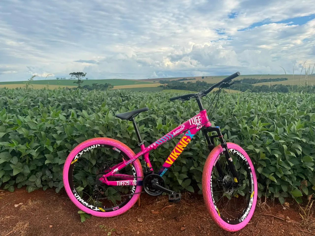 Viking x tuff25 - Foto 3