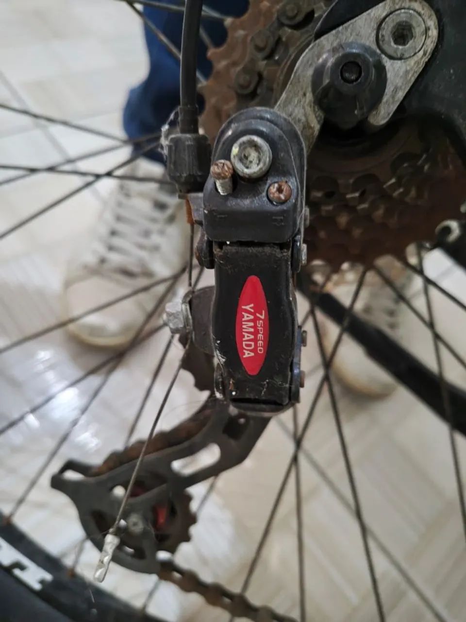 Bike Absolute Aro 29