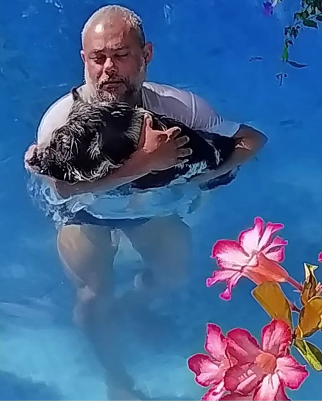Mini Pigs 