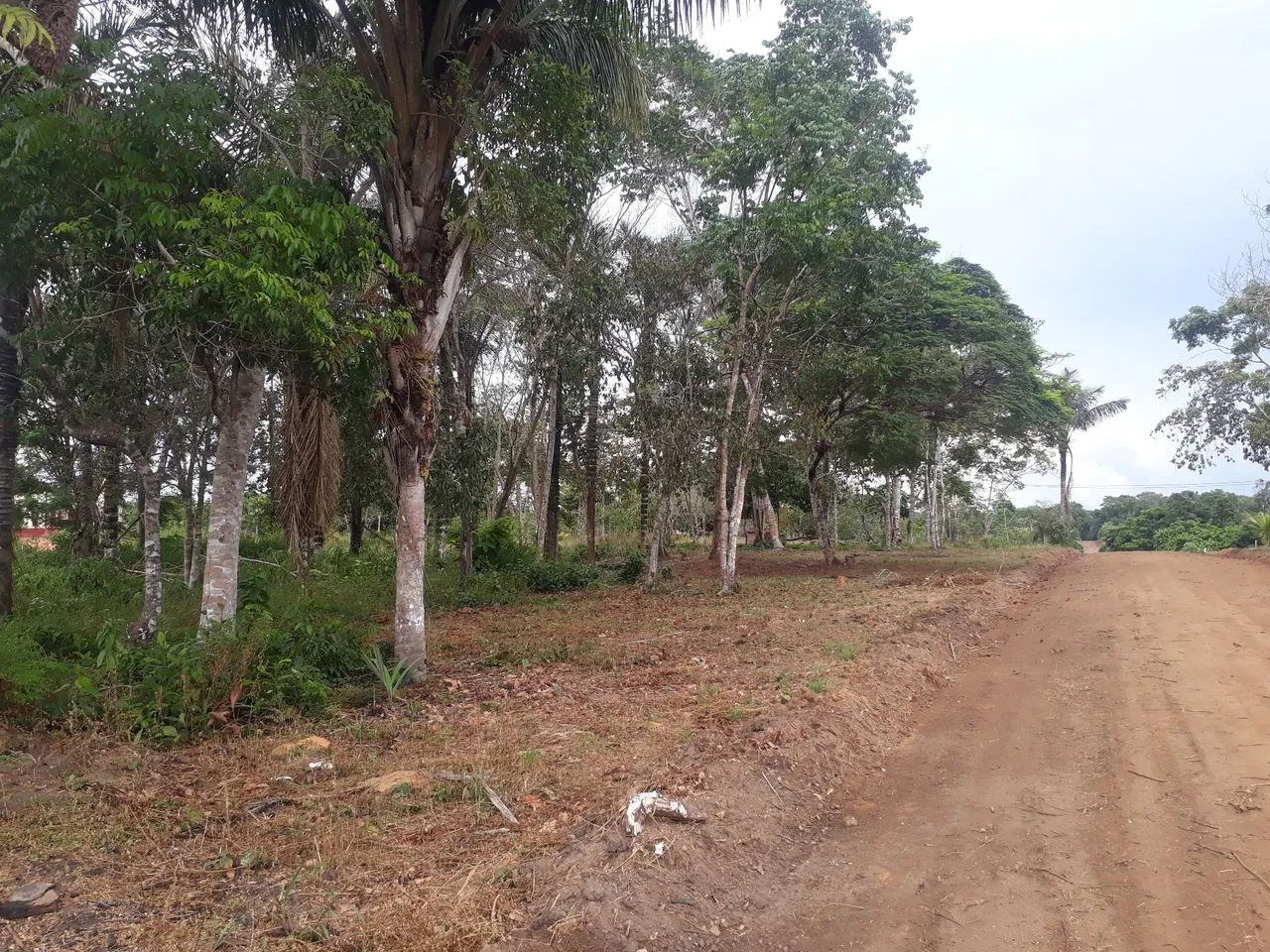 *TERRO IRANDUBA RAMAL SANTO ANTÔNIO  - Foto 4
