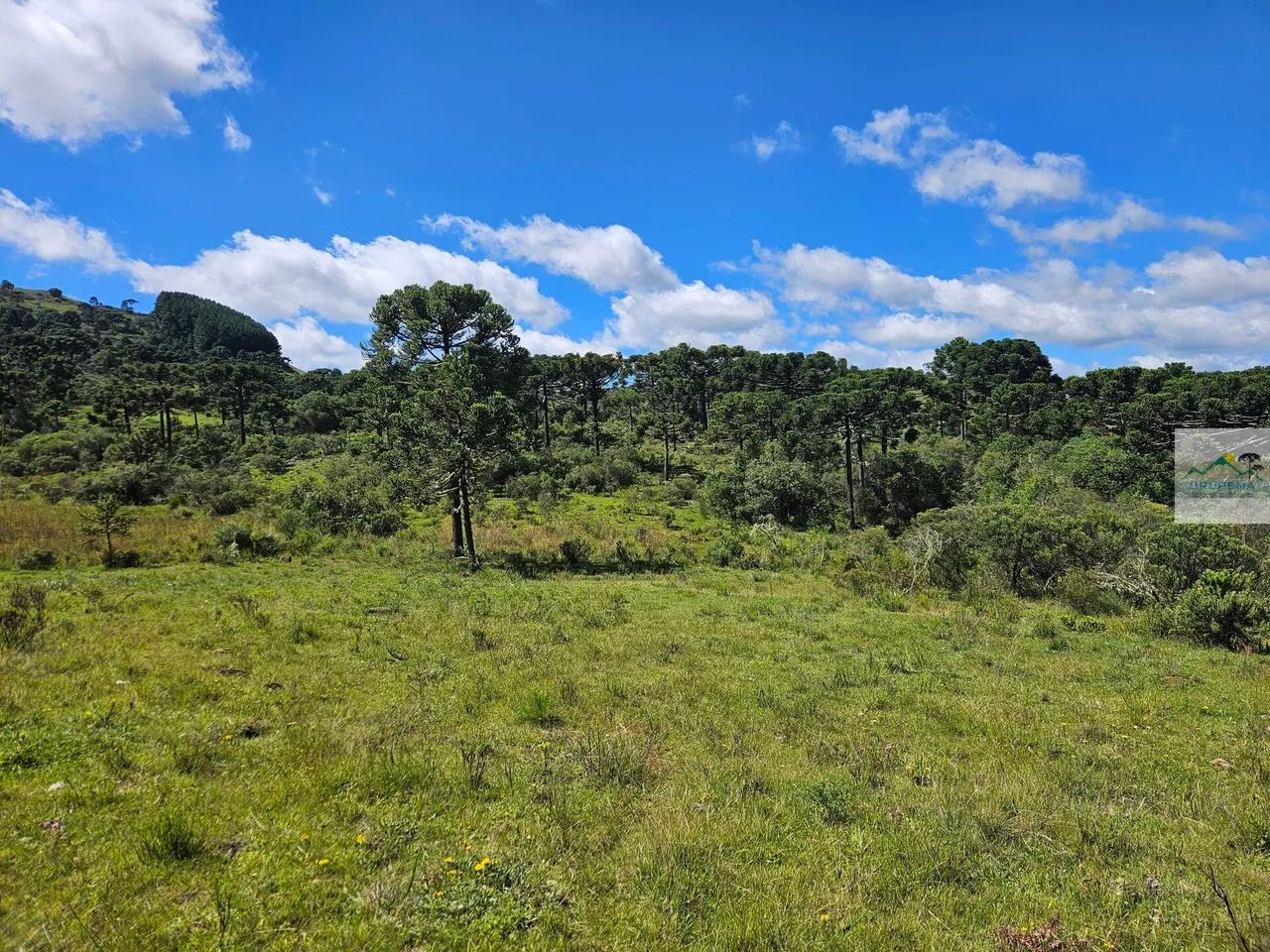 Terreno em Cedrinho, Urupema/SC - Foto 5