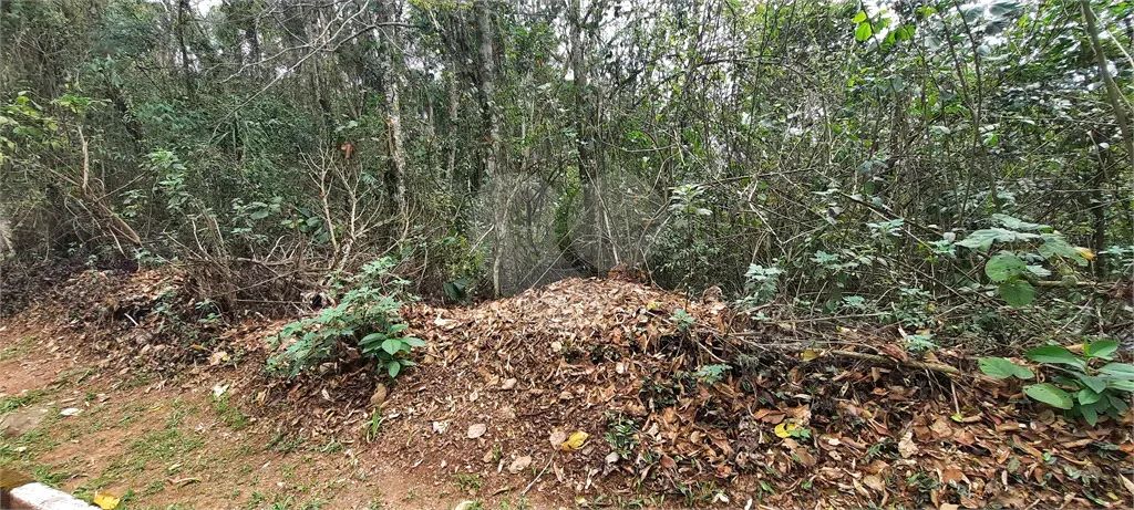 Terreno à venda em Barreiro - SP - Foto 3