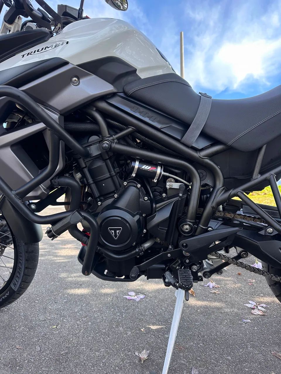 Tiger 800  - Foto 3