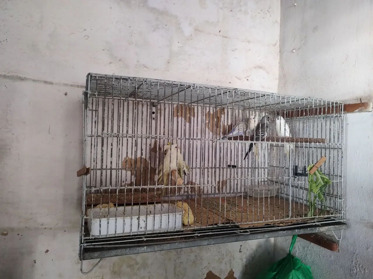 Vende-se - Foto 4
