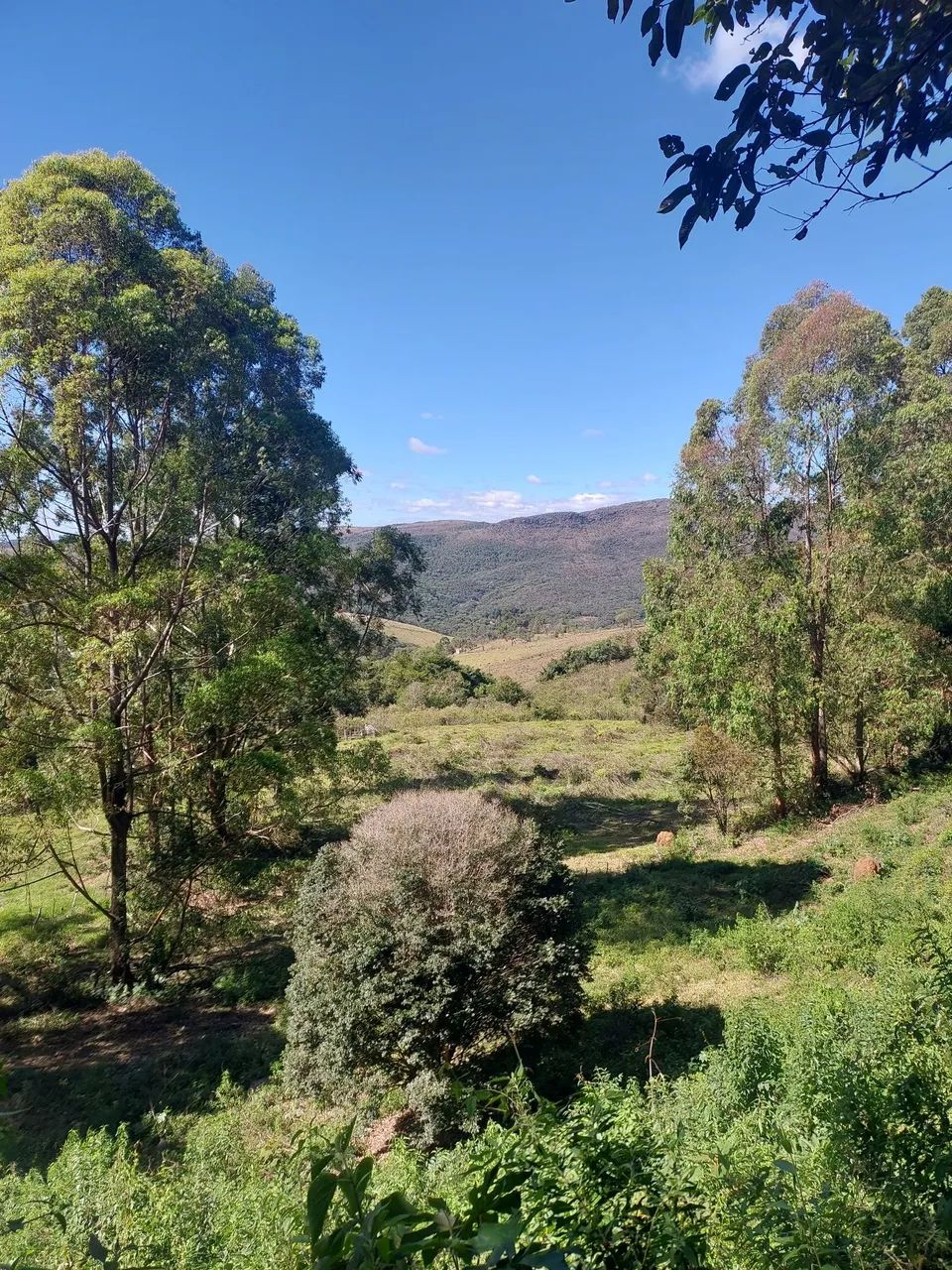 Imóvel rural são thomé das letras 