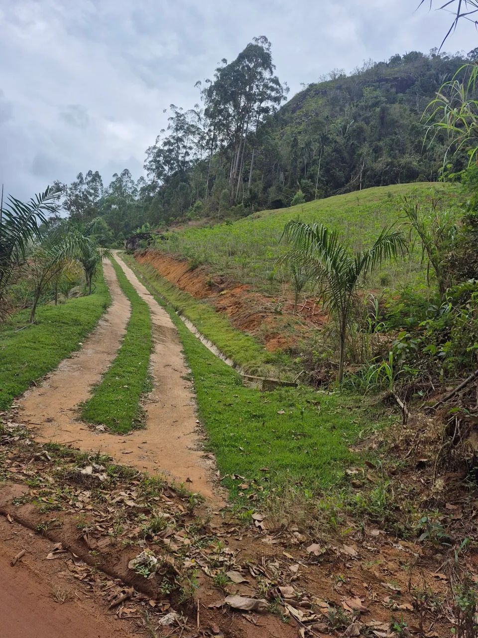 Terreno com VISTA 20.000m² - Foto 2
