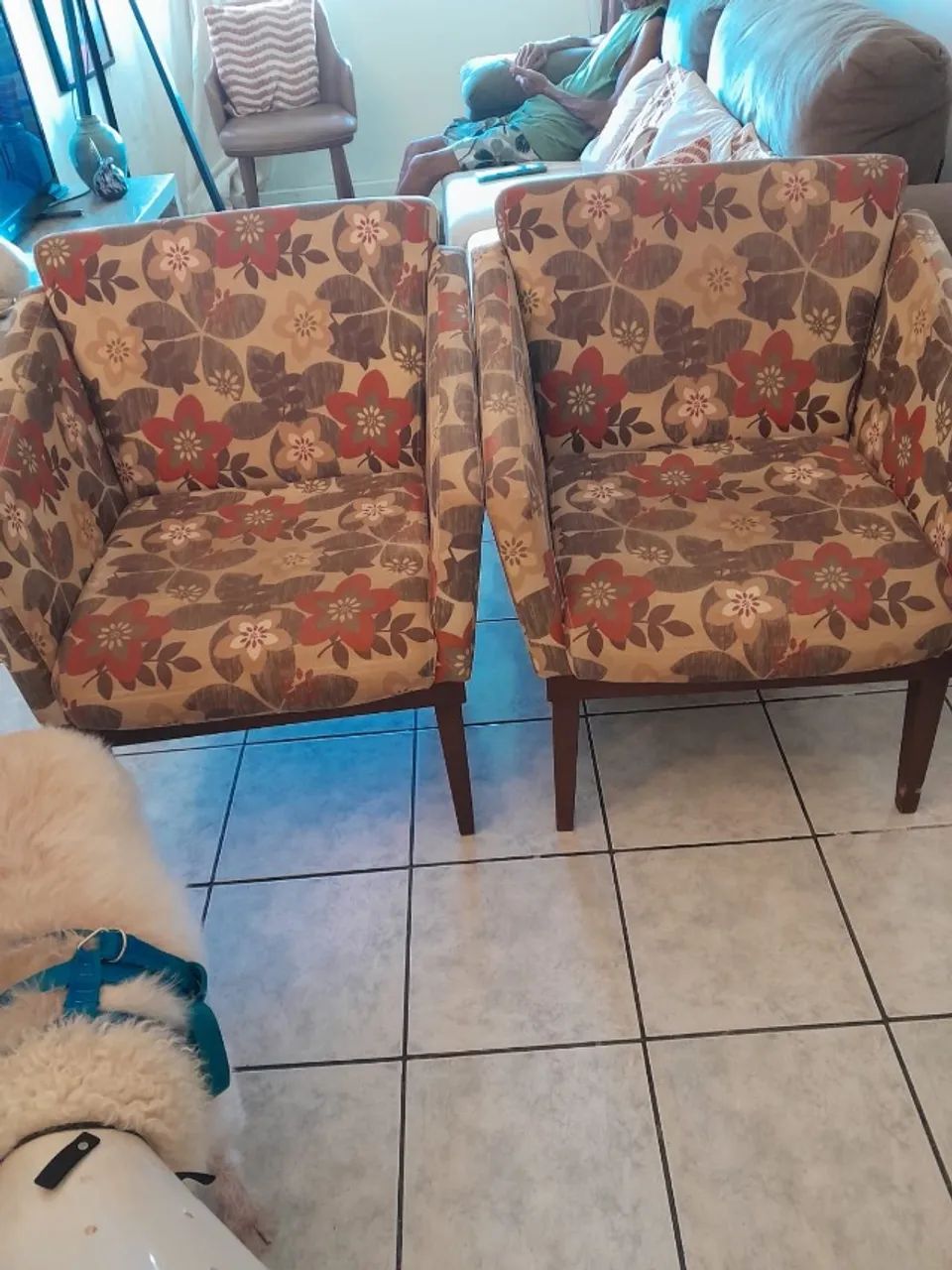 Duas poltronas da Lar Shopping
