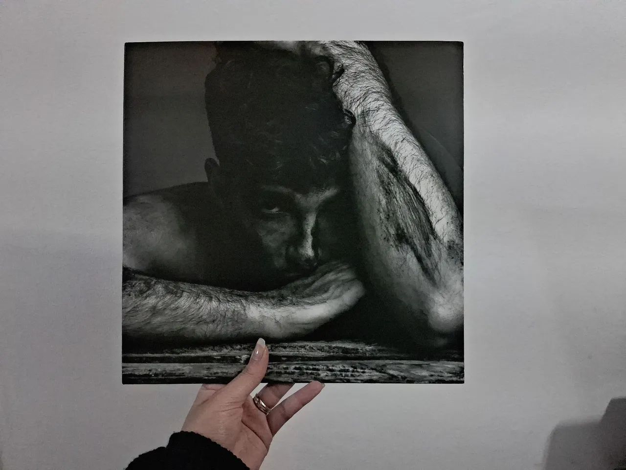 Lp Jão - Lobos ( Com Carta ) (Usado)