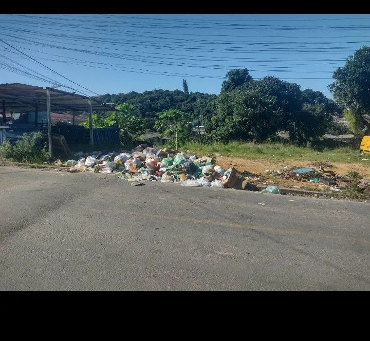 Terreno  - Foto 4
