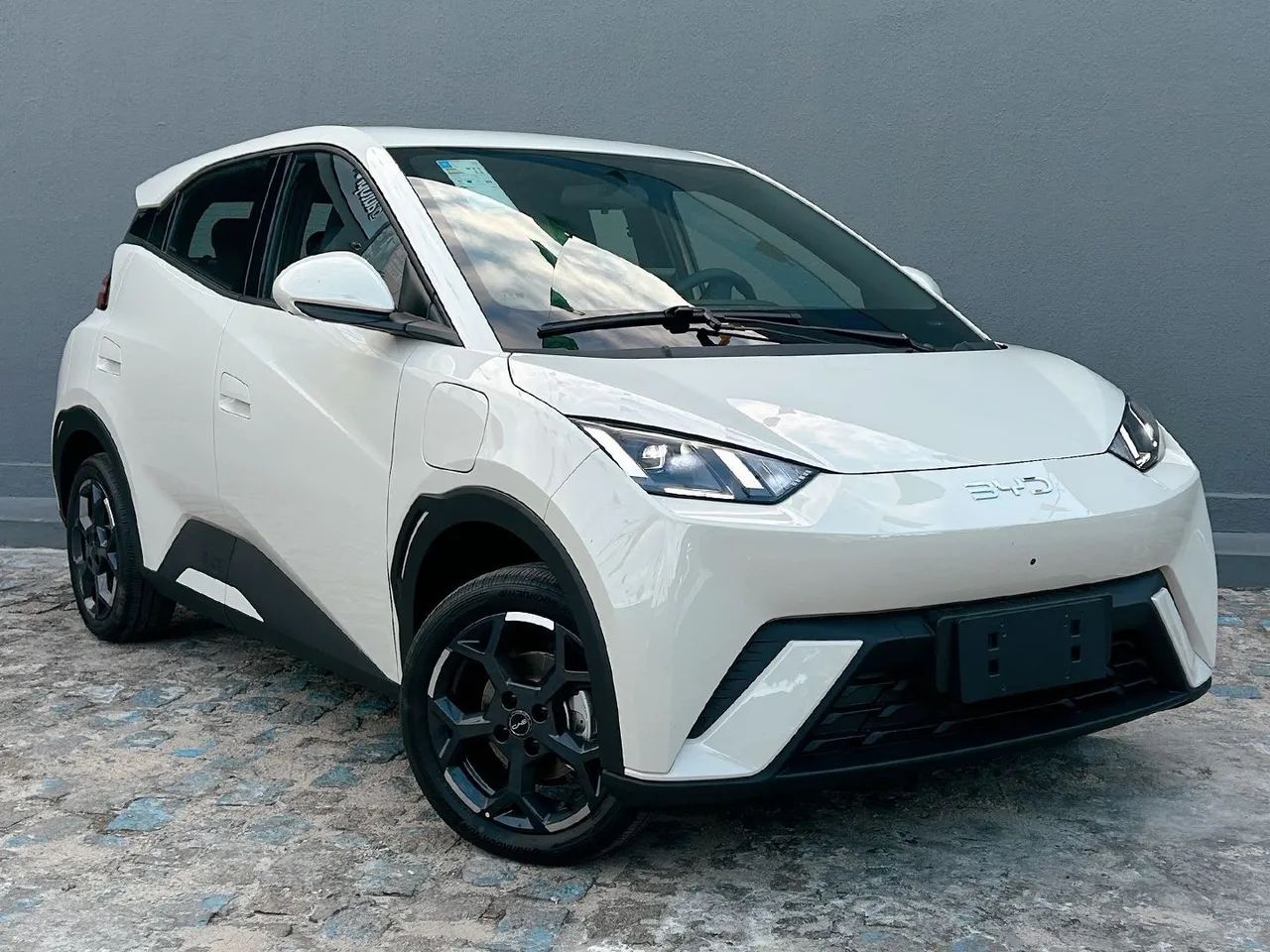 BYD Dolphin Mini (Elétrico) 2027