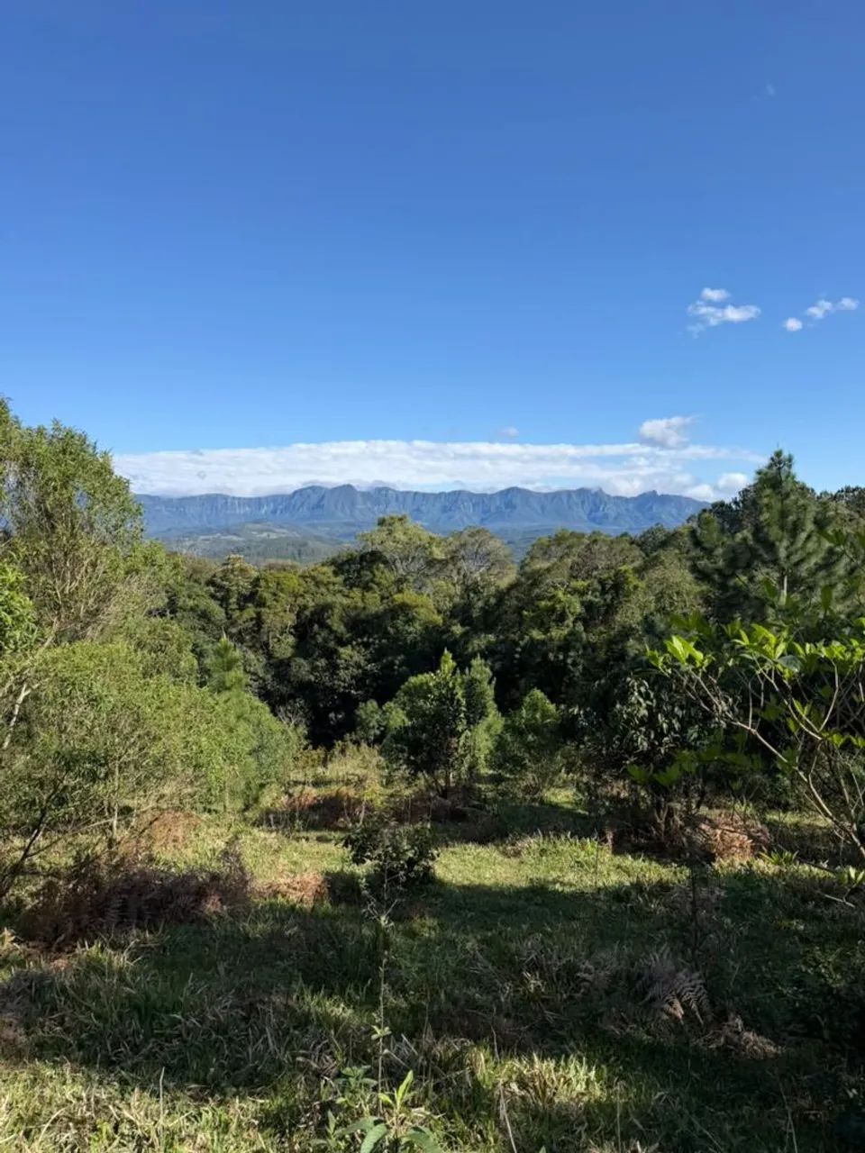 ANITÁPOLIS - Lindo sítio com hectares e vista para a serra geral 