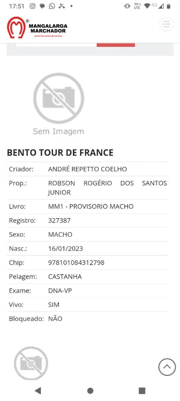 Vendo filho do império do centauro  - Foto 2