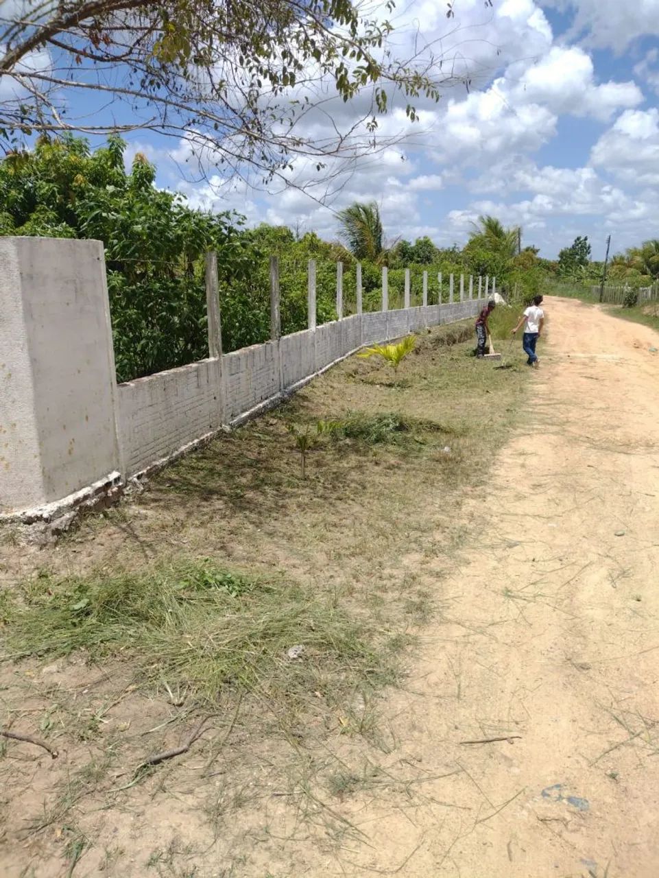 Chácara em Bonança - Foto 4