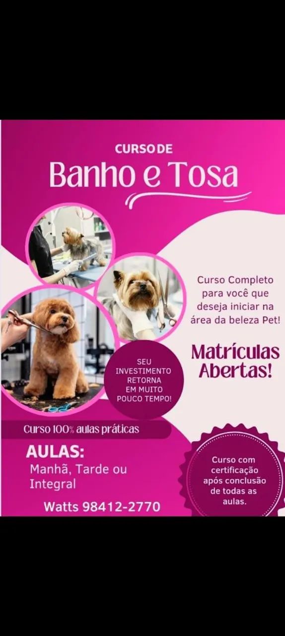 Oportunidade de profissão - Foto 2