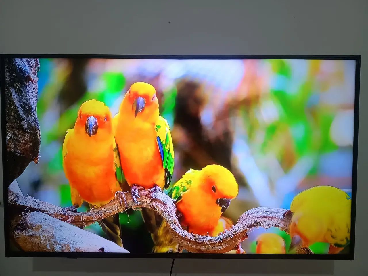 TV smart LG 4K IA 50 polegadas  - Foto 2