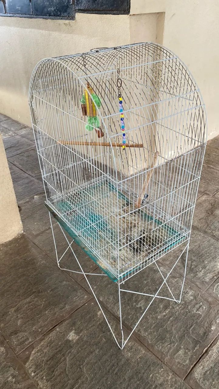 Gaiola 