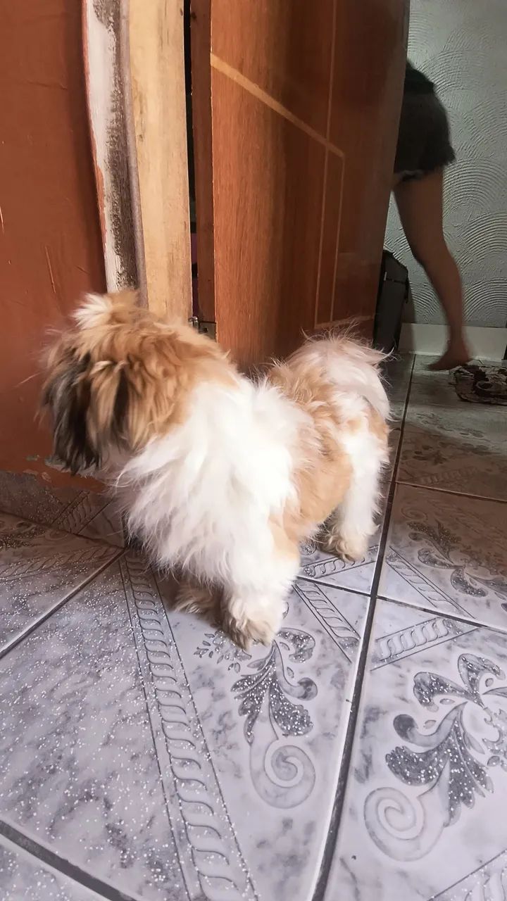 A procura de uma namorada  - Foto 3