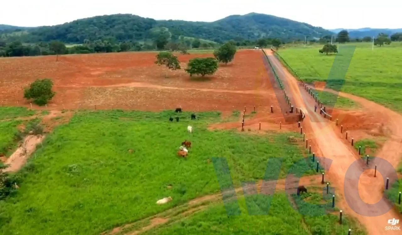 Fazenda para Venda em Pirenópolis, ZONA RURAL, 3 dormitórios, 1 suíte, 2 banheiros, 3 vaga - Foto 6