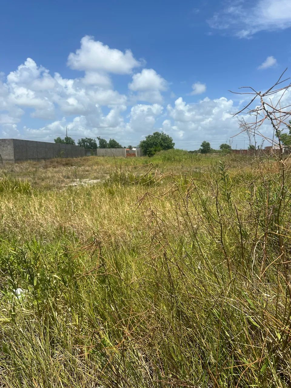 Foto - Rio Largo - 