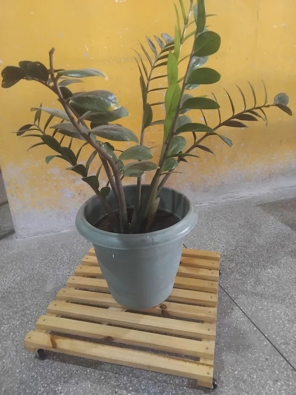 Marcenaria artesanal  - Foto 2