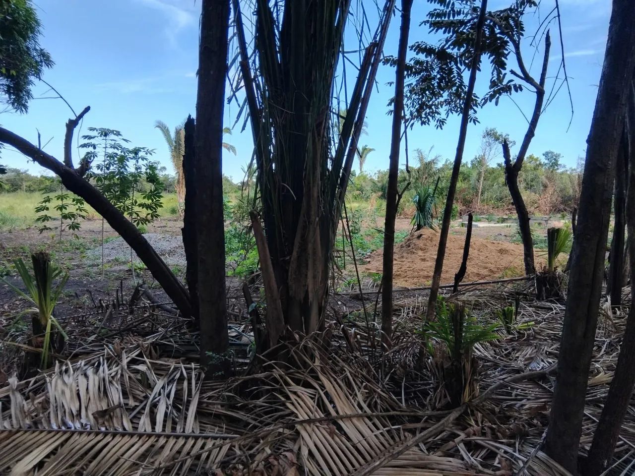 Terreno gigantesco  - Foto 4