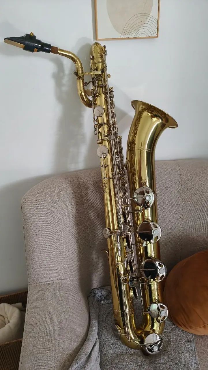 Saxofone barítono pró séries 
