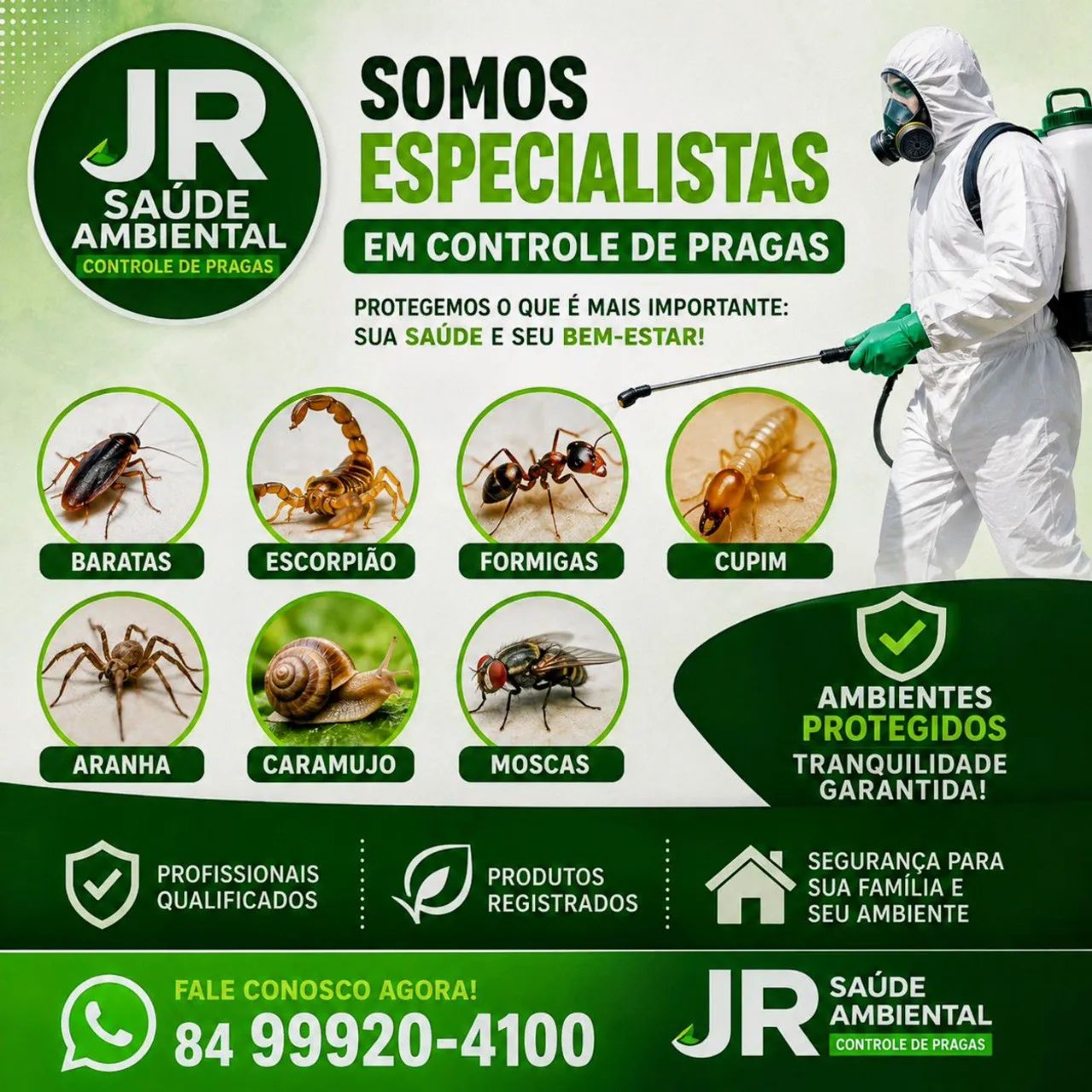 Dedetização  - Foto 2