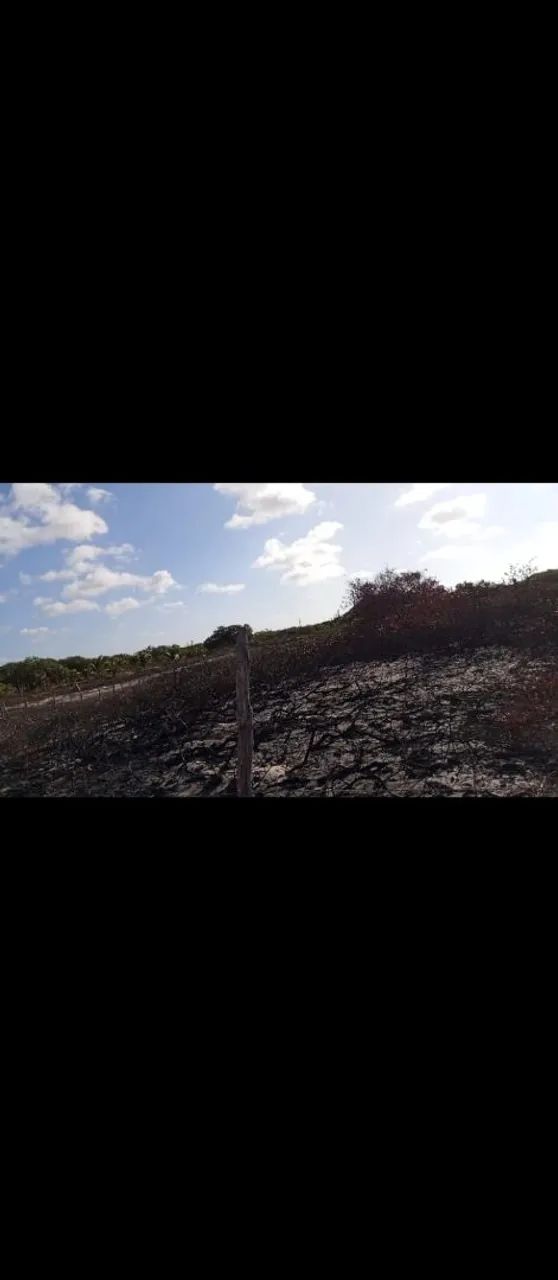Terreno em Paulino neves  - Foto 4