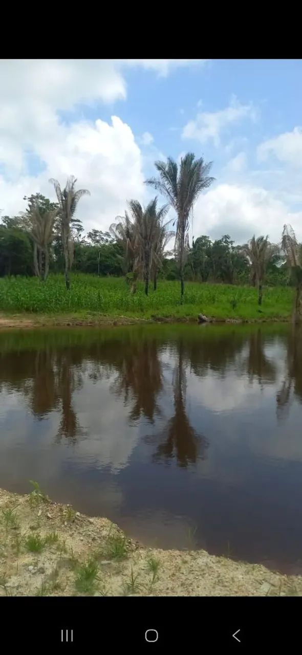 Vende-se está chácara preço oportunidade  - Foto 2
