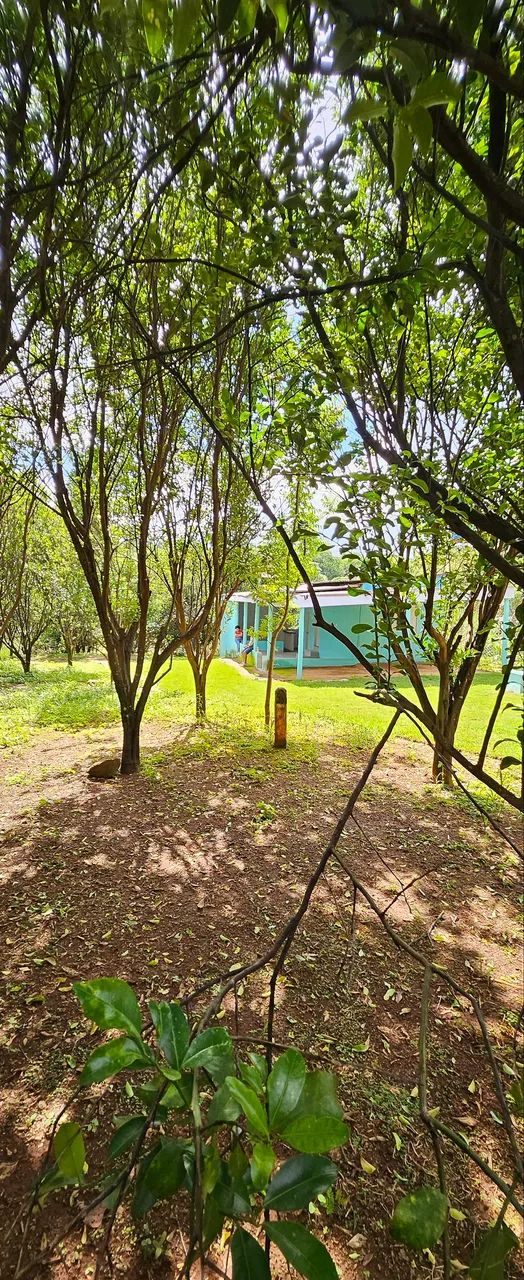 Chácara a 59km de Goiânia  - Foto 5
