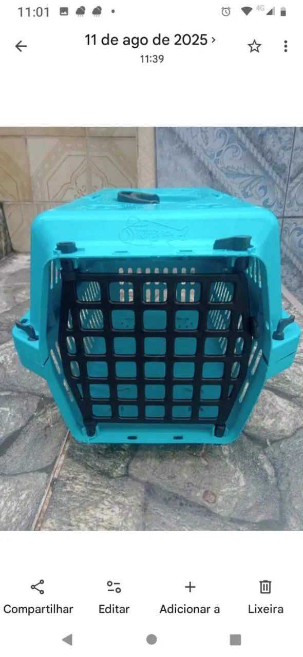 Animais  - Foto 3