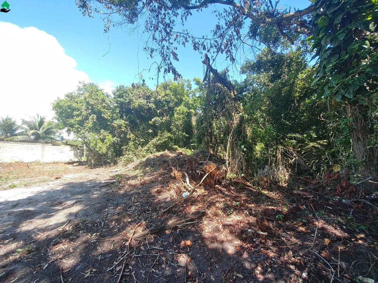 Terreno à venda em Fundão-ES, bairro Praia Grande 300,00 m² de área - Foto 6