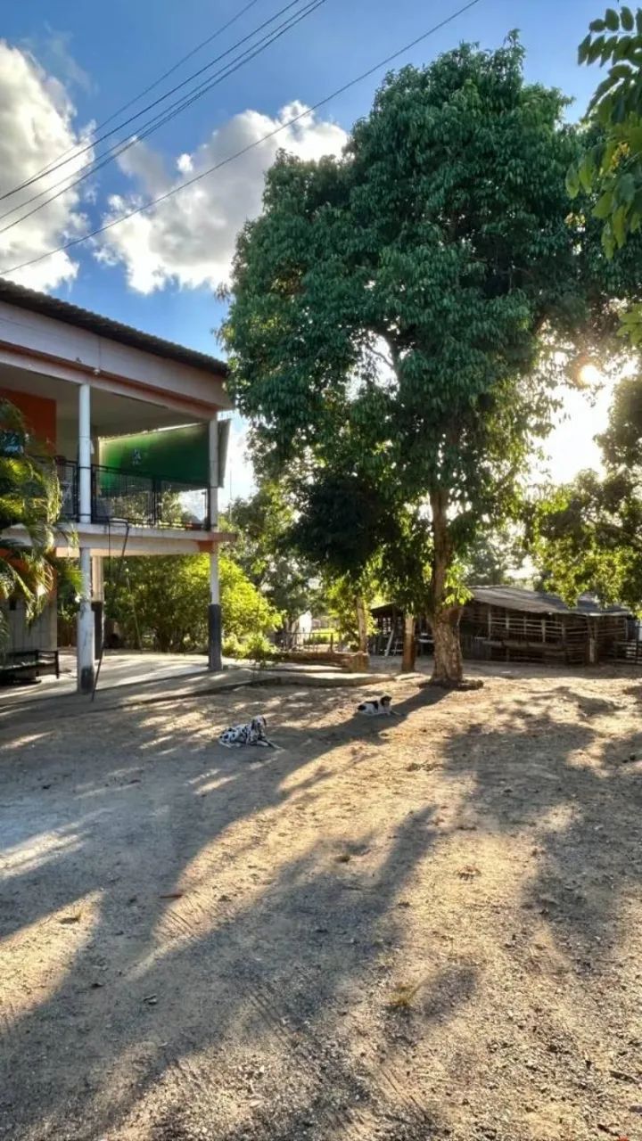 CHÁCARA À VENDA COM 20 TAREFAS EM ITABAIANA/SE - Foto 4