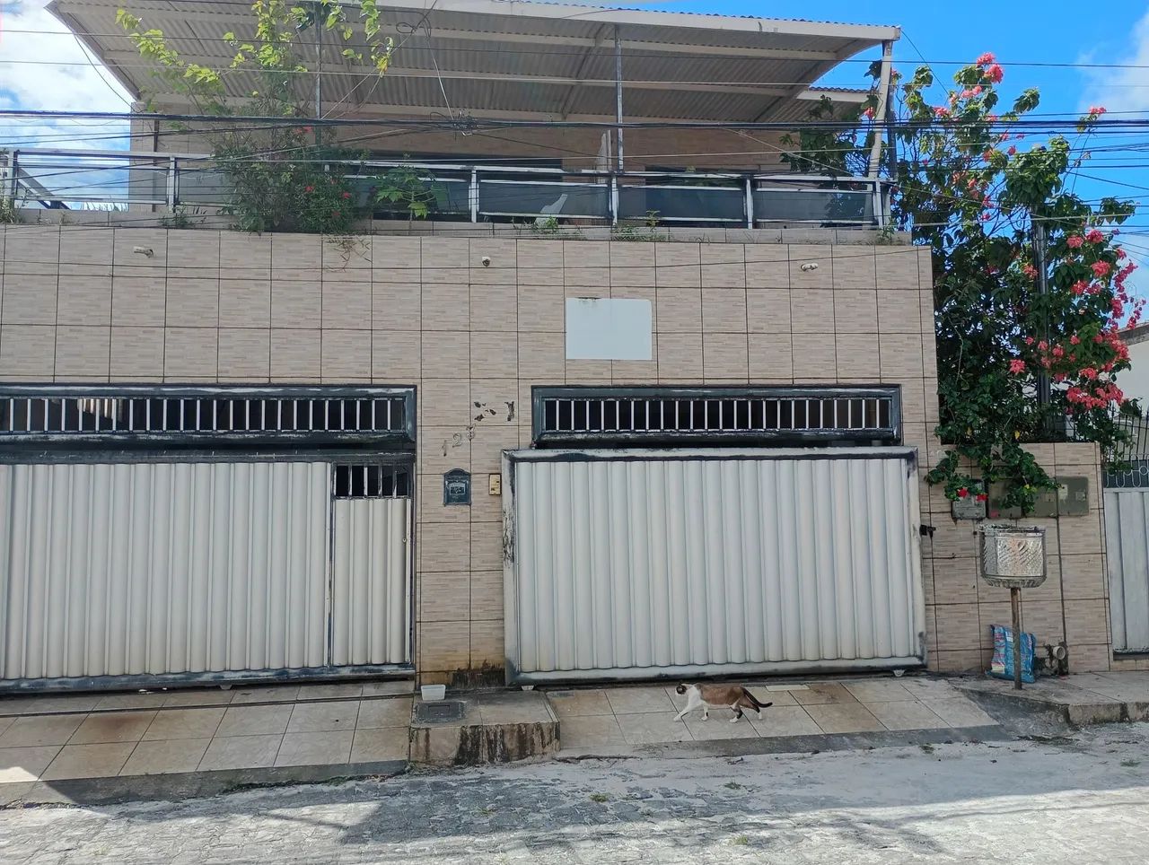 Casa p alugar