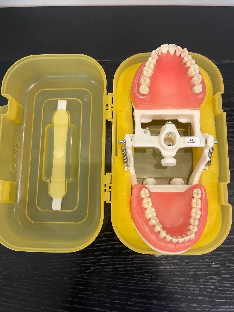 Manequim odontológico de Dentista PD 100 Pronew - Foto 4