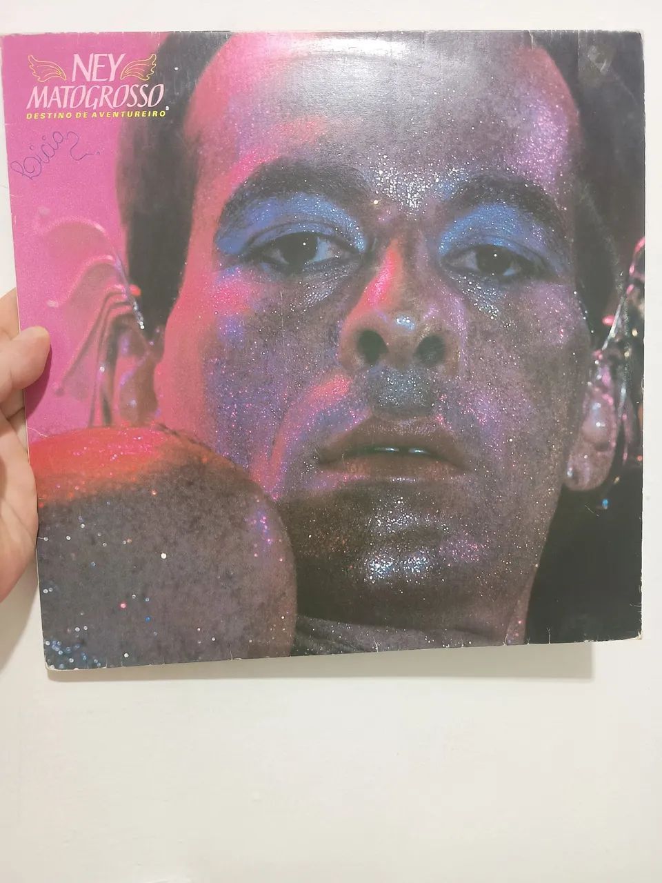 Vinil Ney Matogrosso